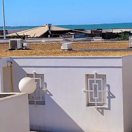 Bambou 2 A 50m De La Daire