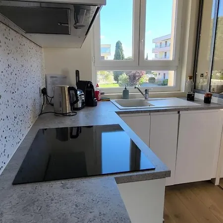 Bambou 2 A 50m De La